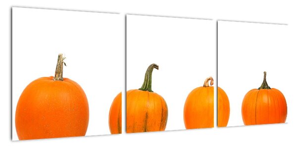 Obraz - oranžové tekvice (Obraz 90x30cm)