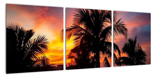 Obraz palmy na stenu (Obraz 90x30cm)