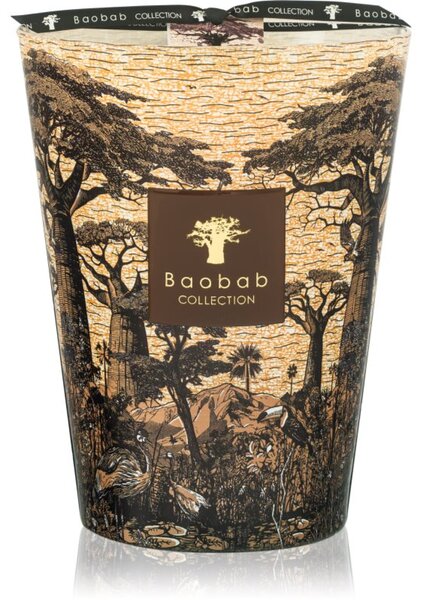 Baobab Collection Sacred Trees Mankono vonná sviečka 3000 g