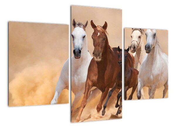 Obrazy bežiacich koní (Obraz 90x60cm)