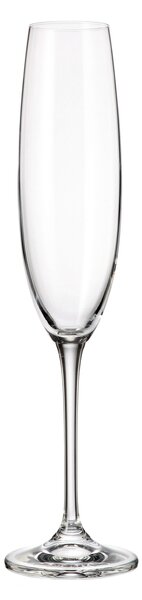 Crystalite Bohemia poháre na šampanské Fulica 250 ml 6KS