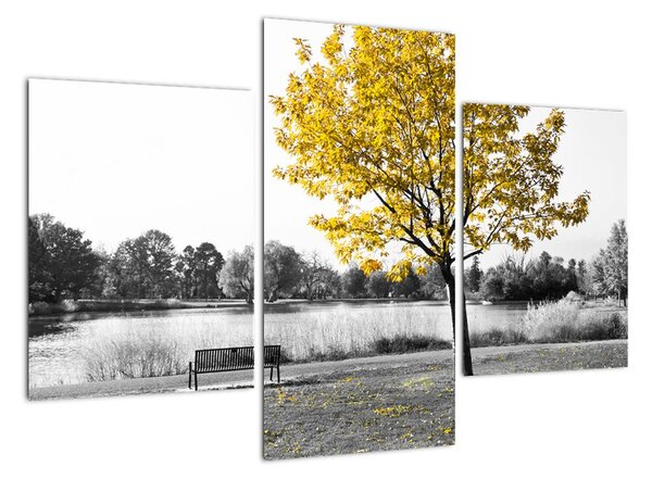 Obraz žltého stromu v prírode (Obraz 90x60cm)