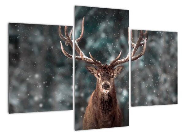 Obraz - jeleň v zime (Obraz 90x60cm)