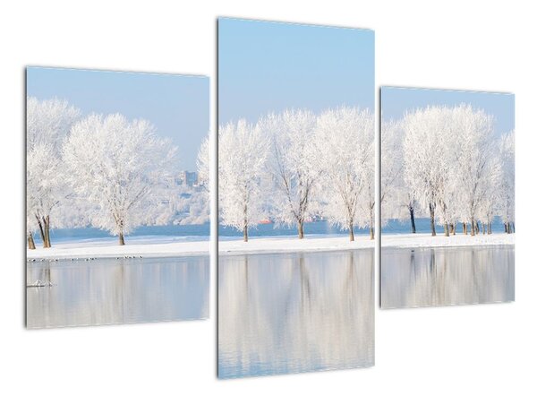 Obraz - zimná príroda (Obraz 90x60cm)