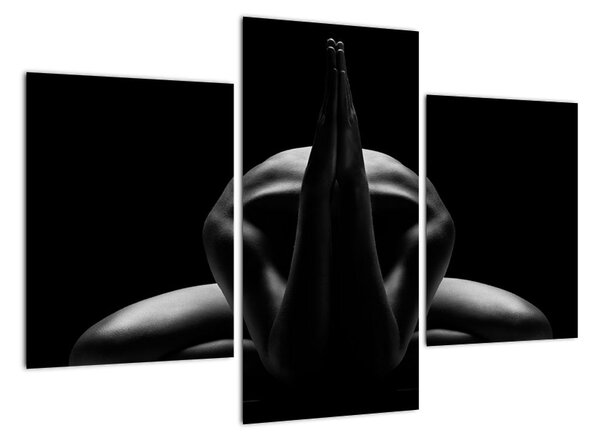 Obraz nahé ženy (Obraz 90x60cm)