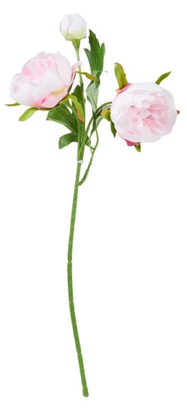 FLORISTA Iskerník malý 29 cm - pastelovo ružová