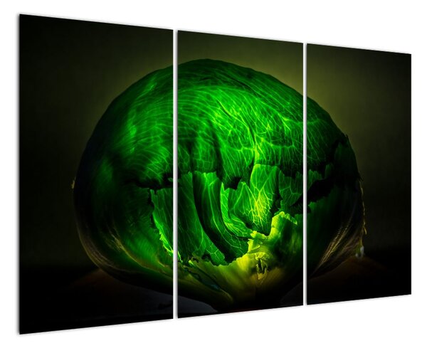 Zelená moderná abstrakcie (Obraz 120x80cm)