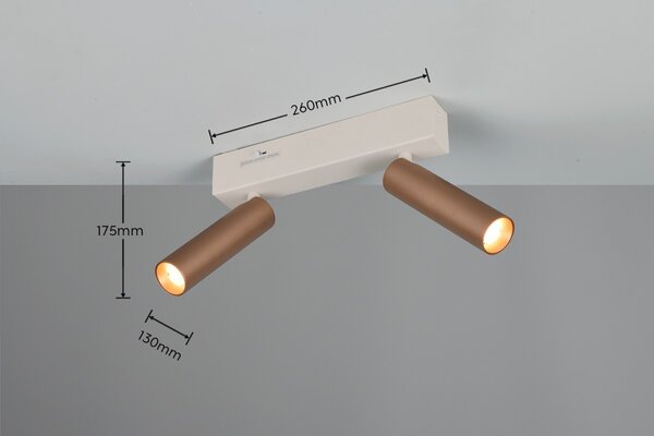 Trio T849210265 LED bodové stropné svietidlo AMBALA | 5W integrovaný LED zdroj | 2x500lm | 2300+3000+4000K | hnedá