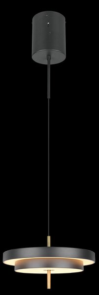 Trio T340219180 LED stojacia lampa KEATON | 34W integrovaný LED zdroj | 1x4000lm | 2300+3000+4000K | na lanku | Trio - SwitchDimmer | čierna | zlatá