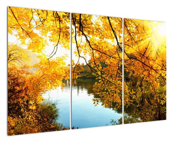 Jesenná krajina - obraz (Obraz 120x80cm)