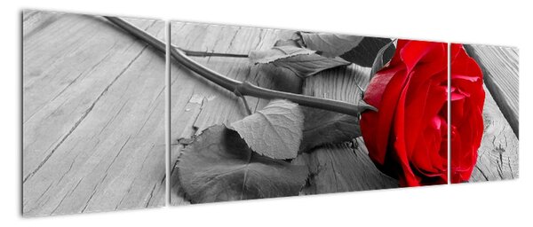Obraz ruže s červeným kvetom (Obraz 170x50cm)