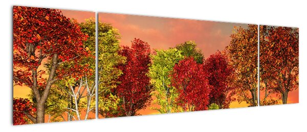 Obraz prírody - farebné stromy (Obraz 170x50cm)