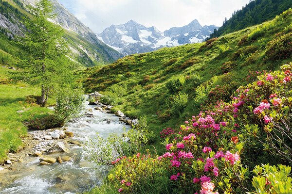 Plagát, Obraz - Alps - Nature and Mountains