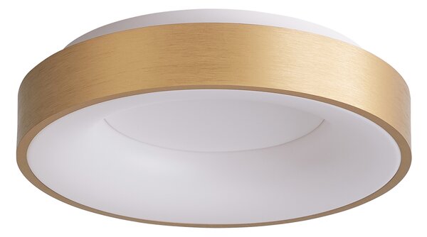 Italux 5304-840RC-GD-3 LED stropné svietidlo Giulia D480mm 40W/2200lm 3000K zlatá, biela