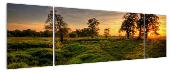 Západ slnka v krajine, obrazy (Obraz 170x50cm)
