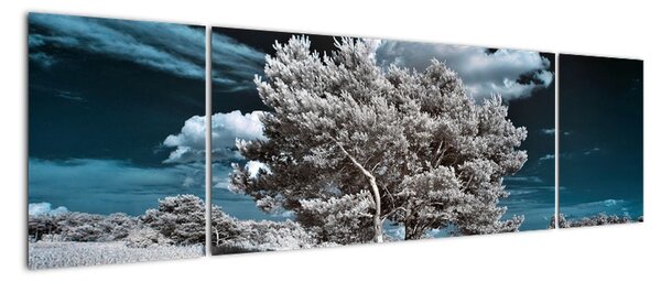Strom v zime, obraz na stenu (Obraz 170x50cm)