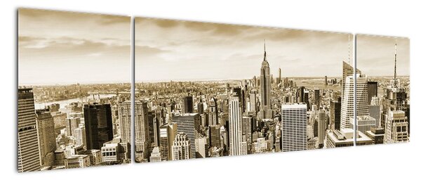 Panorama New York, obraz (Obraz 170x50cm)