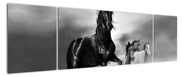 Čiernobiely obraz koňov (Obraz 170x50cm)