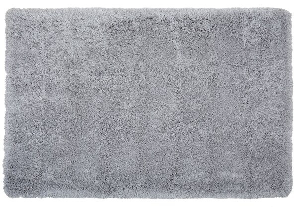 Shaggy koberec s vysokým vlasom sivý polyesterový 200 x 300 cm obdĺžnikový jednofarebný