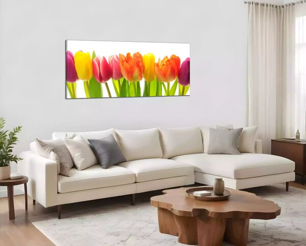 Obraz na stenu Farebné tulipány