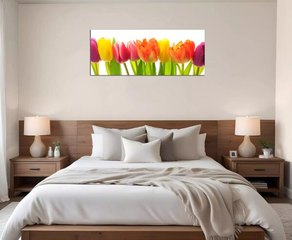 Obraz na stenu Farebné tulipány