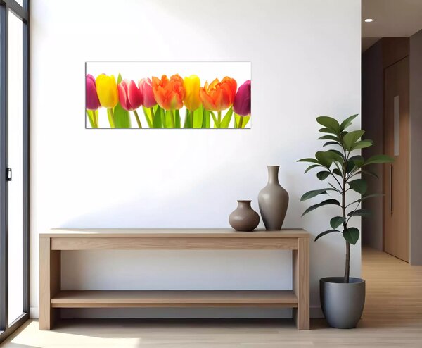 Obraz na stenu Farebné tulipány