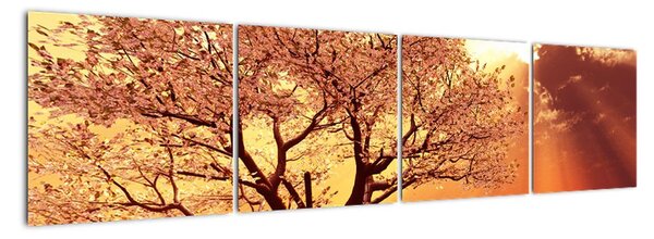 Obraz prírody - strom (Obraz 160x40cm)