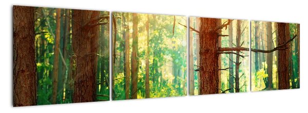 Moderný obraz - les (Obraz 160x40cm)