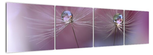 Obraz - kvet s kvapkami vody (Obraz 160x40cm)
