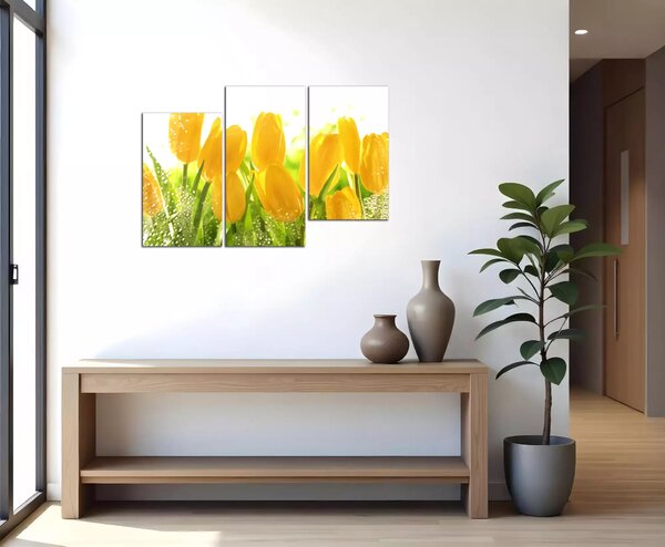 Obraz na stenu Žlté tulipány