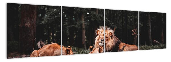 Obrazy - levy v lese (Obraz 160x40cm)