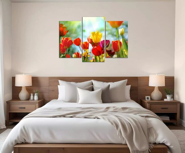 Obraz na plátne Farebné tulipány