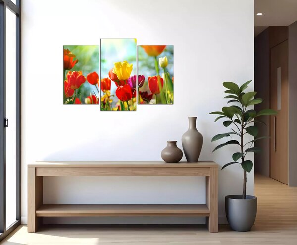Obraz na plátne Farebné tulipány