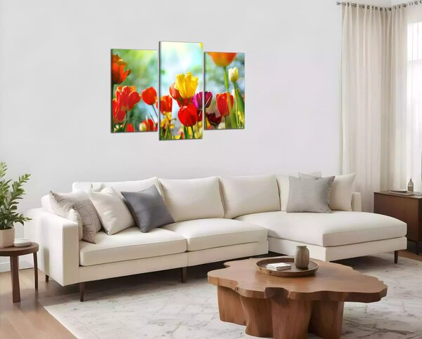 Obraz na plátne Farebné tulipány