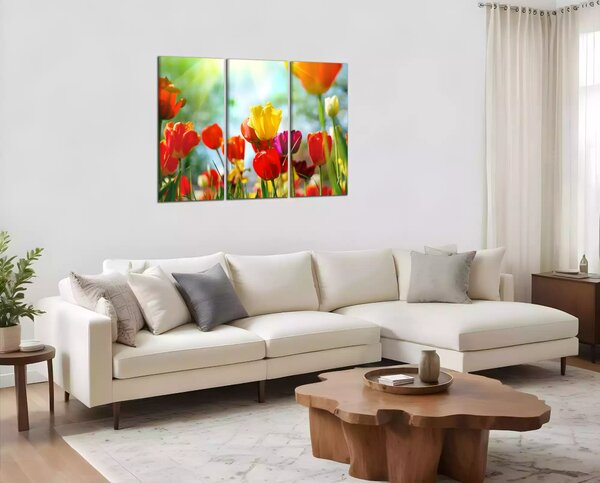 Obraz na plátne Farebné tulipány