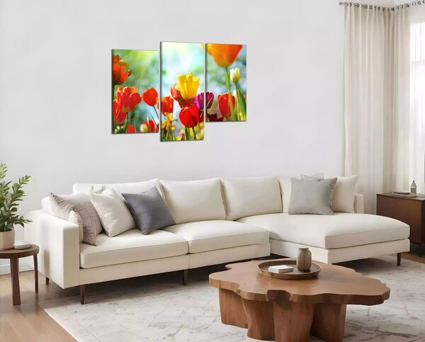 Obraz na plátne Farebné tulipány