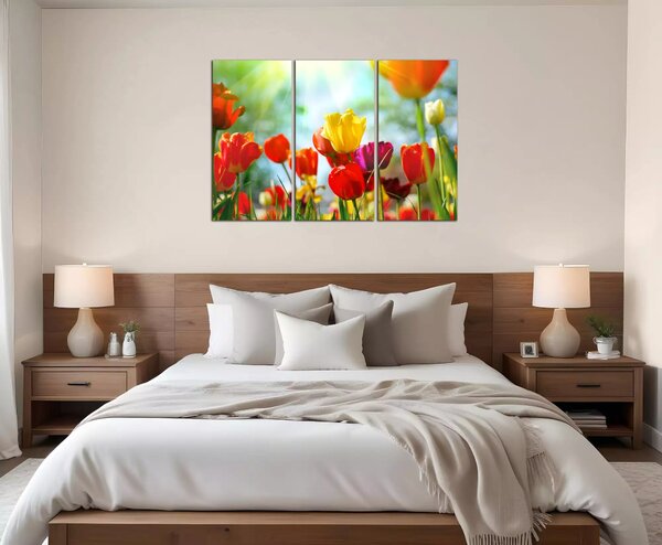 Obraz na plátne Farebné tulipány