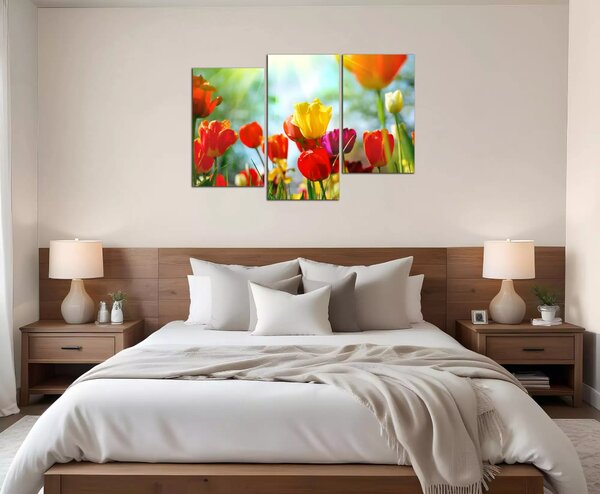 Obraz na plátne Farebné tulipány