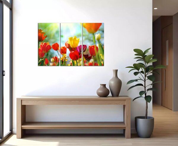 Obraz na plátne Farebné tulipány