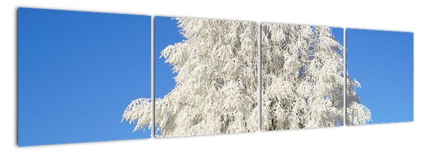 Zasnežený strom - obraz (Obraz 160x40cm)