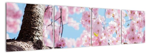 Kvitnúce strom - obraz (Obraz 160x40cm)