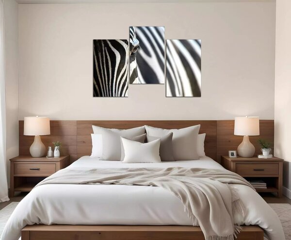 Obraz na plátne Zebra