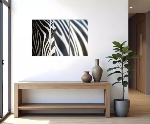 Obraz na plátne Zebra