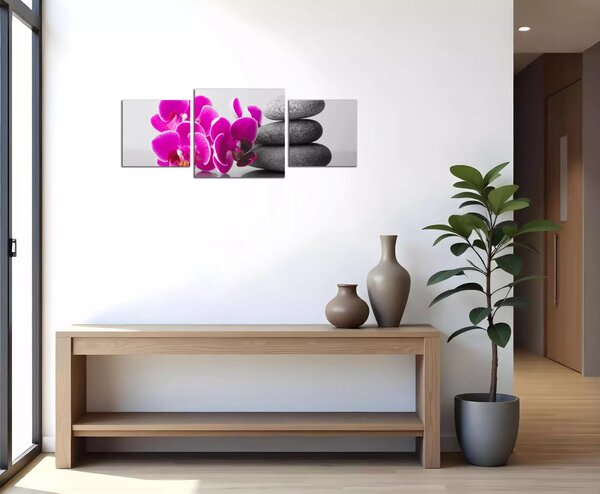 Obraz na plátne Orchidey a zen kamene