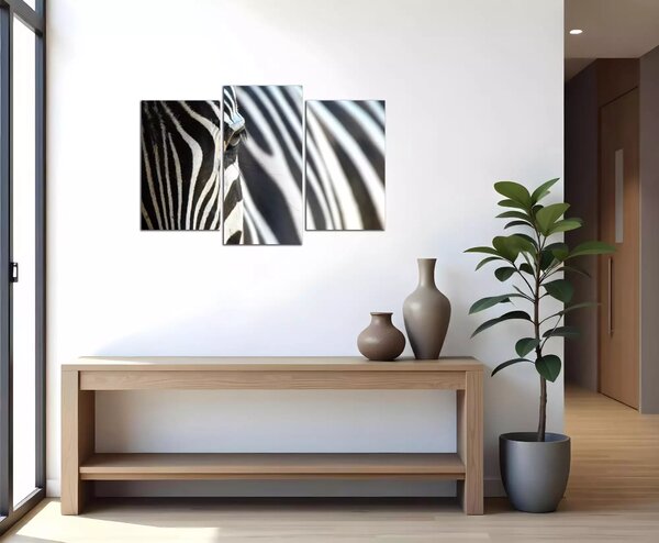 Obraz na plátne Zebra