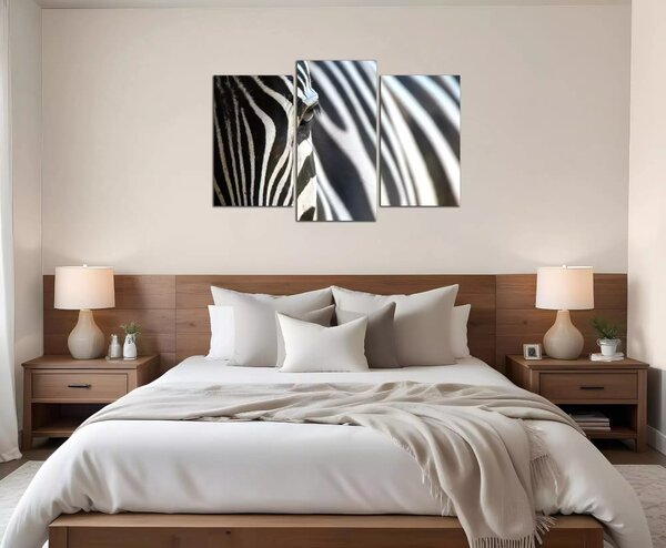 Obraz na plátne Zebra