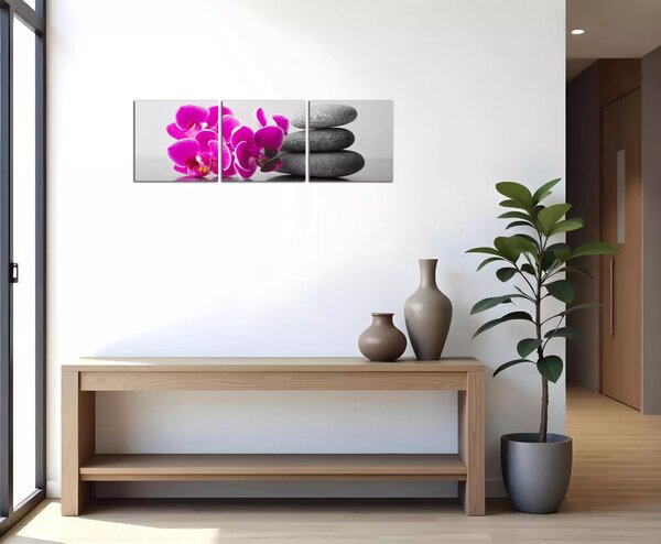 Obraz na plátne Orchidey a zen kamene