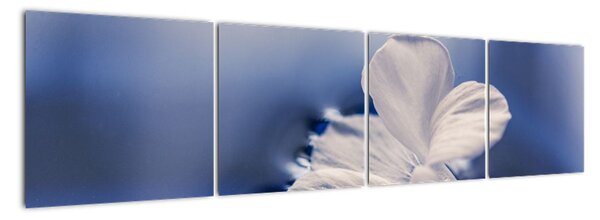 Obraz bieleho kvetu vo vode (Obraz 160x40cm)