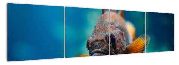 Obraz - ryba (Obraz 160x40cm)