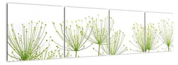 Obraz rastlín na bielom pozadí (Obraz 160x40cm)